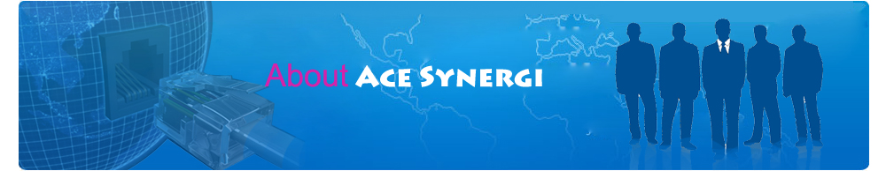 Acesynergi Solutions about us